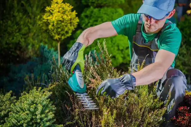 landscaping services Beverly